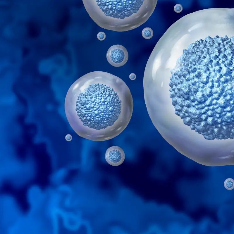 which stem cell is best